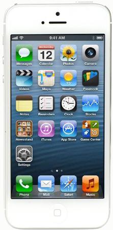 Смартфон Apple iPhone 5 32Gb White & Silver - Спасск-Дальний